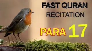 Quran Para 17 ; Fast Quran | Beautiful Recitation of Quran |Raheemi Tv