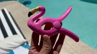 Adorable GOTTA HAVE beach towel CLIP SETS!  No more towels blowing away!
