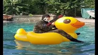 im fragging my mounts bro