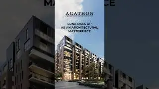 LUNA & ALBA Apartments in Sydney CBD #agathonproperty #realestate #australianproperty