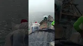 sea fishing 09 Dec 2023 #shorts #fishing #youtubeshorts #viral