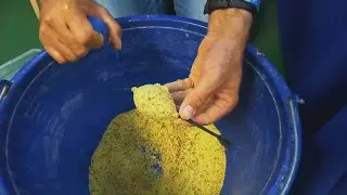 Nové letné method feeder krmivá Haldorado FermentX Box - Novinky 2023