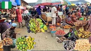 Cheapest Food Market in Nigeria from Rural Farmers