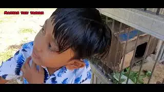 Bermain sama monyet di kandang ❓kasihan monyetnya lapar