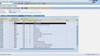 Object Oriented OOPS ( OOABAP) SAP OO ABAP Tutorials Get Company Details
