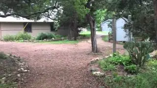 One reason why I love Austin Waldorf School. Trees!