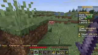 WHY WOULD MINECRAFT DO THAT!