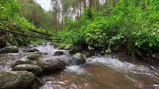 Relaxing Mountain Stream Sounds, Forest river Sounds for deep sleep, stress reliever, and meditation