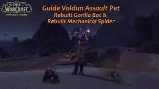BFA Voldun 2Pets - Rebuilt Gorilla Bot & Rebuilt Mechanical Spider