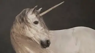 Einhorn. Das Fabeltier in der Kunst (25. Oktober 2025 &ndash; 1. Februar 2026) I Museum Barberini, Potsdam