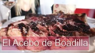 Comer en restaurante El Acebo de Boadilla, Boadilla del Monte, Madrid (cocina tradicional española)