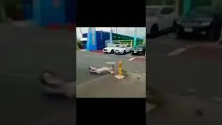 funny video #memes #funny #slap #randomvideos