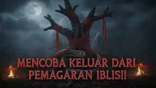 PENYELAMATAN MBUL‼️