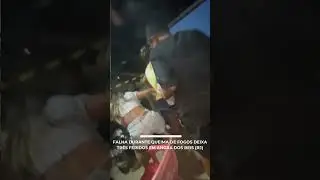 Falha durante queima de fogos deixa tr&ecirc;s feridos em Angra dos Reis (RJ)