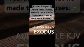 Bible, Exodus Chapter 1,God Blesses the Midwives with Families #shorts #bible #exodus