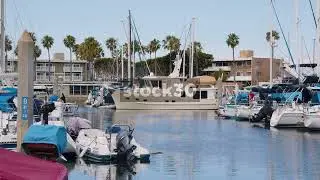 Boats Moored In Port Royal Marina, King Harbor, Redondo Beach, Los Angeles, California, USA 3