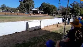 This SPEEDY Gould Gr55