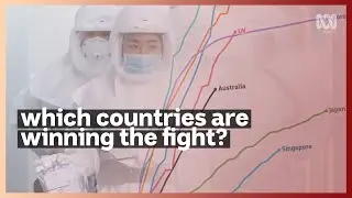 Coronavirus: What can we learn from countries winning the fight?