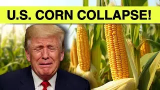 7 Countries Now Choosing Canadian Corn OVER U.S.! U.S. Corn Exports COLLAPSE