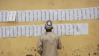 Counting underway but it could be days before official election result is announced in Nigeria
