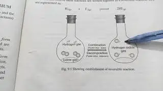reversible and irreversible reactions and dynamic equilibrium