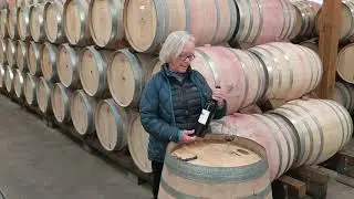 Cathy Corison Opens the Cellar, March 2020, 2010 Corison Kronos Vineyard Cabernet Sauvignon