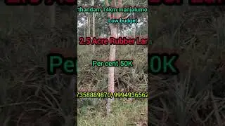Low price 2.5 Acre Rubber land for sale per cent 50K #marthandam  #kanyakumari #landsale