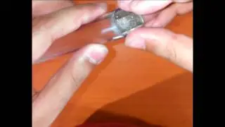 10p Double Fold -Coin in bottle Magic Game