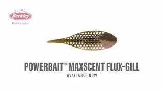Новинка от Berkley: MaxScent Flux Gill | Полное описание продукта