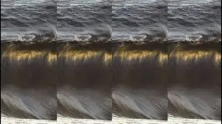 COPYCATT - SHIPSTERN BLUFF