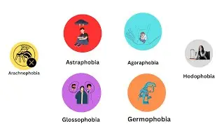 Every Phobia Explained in 11 Minutes