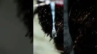 How Spiders Shoot Their Web🕷️🕸️...              #shorts