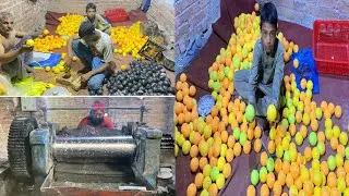 Cricket Ball manufacturing || How cricket ball made in factory
