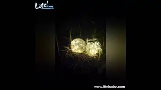 Outdoor Hanging Solar Lanterns Lights