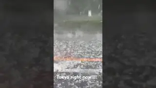 Huge tennis ball sized hailstones devastate Kanto including Tokyo, Japan!
