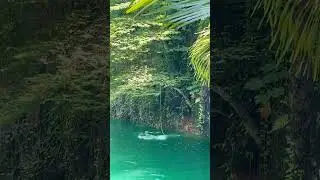Cenote Atik #tulumvibes #tulumtravel #beach #travel #ulum