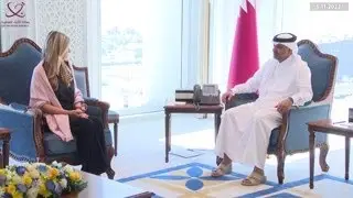 Prime Minister Meets Vice President of European Parliament
