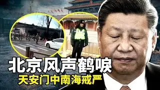 北京气氛诡异，中南海天安门加强警戒；军队内部混乱，军心不稳，消极抵抗，转业辞职；杨兰兰现身悉尼法庭， 承认违反保释条件