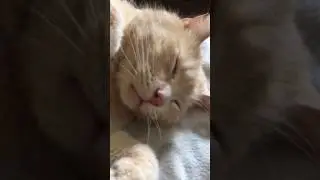 Oliver Katt