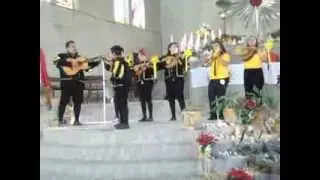 VILLANCICO EL BURRITO SABANERO. Estudiantina 
