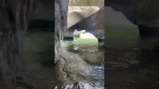 Crazy Beautiful Timeworn Rock #river #nature #hike #outdoors #beautiful #rock #water #elements