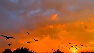 Sunset status video