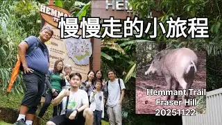 慢慢走的小旅程(Hemmant Trail Fraser Hill)