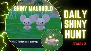 How to catch Shiny Maushold - Daily Shiny Hunt