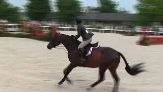 Video of HERR DROSSELMEYER ridden by ANNELIESE KOLASKA from ShowNet!