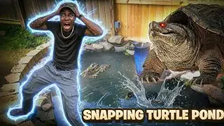 My Evil Snapping Turtle Gets a Massive Pond Upgrade!