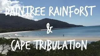 Australia Vlog #10 - Daintree Rainforst & Cape Tribulation (Cairns) // Stewart and Victoria