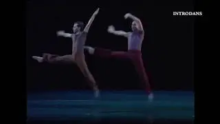 Introdans | Na Floresta | choreografie Nacho Duato