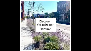 Discover Westchester: Harrison, NY | A Hometown with Heart & Community Charm