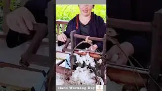The Process Of Extracting Seeds From Cotton